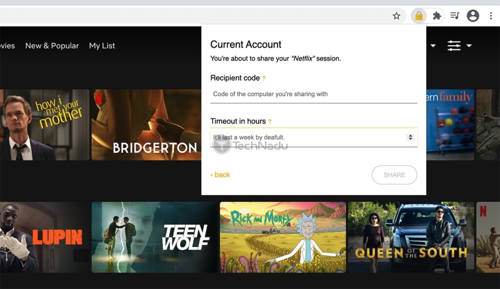 Creating Netflix Access Key Chrome Extension ShareAccount