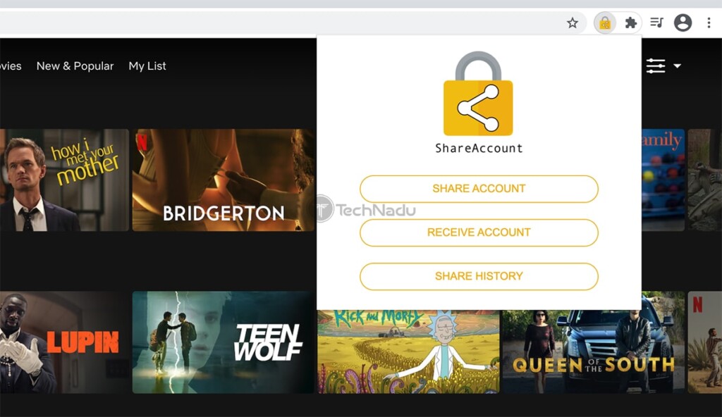 Netflix Password Sharing via ShareAccount