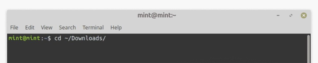 Accessing Downloads Folder on Linux Mint