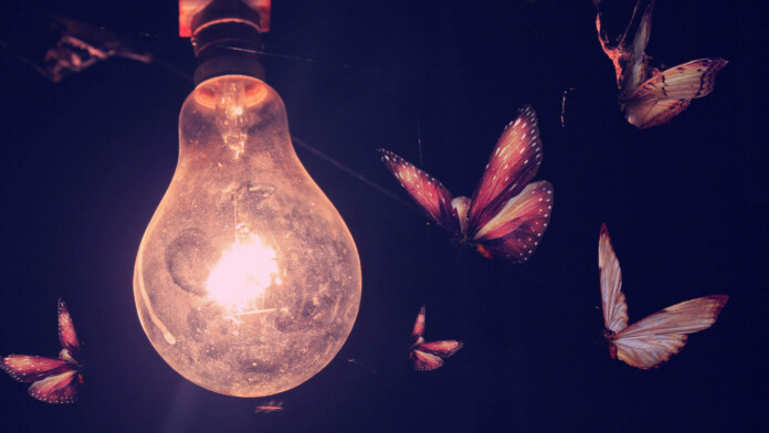 luminous moth