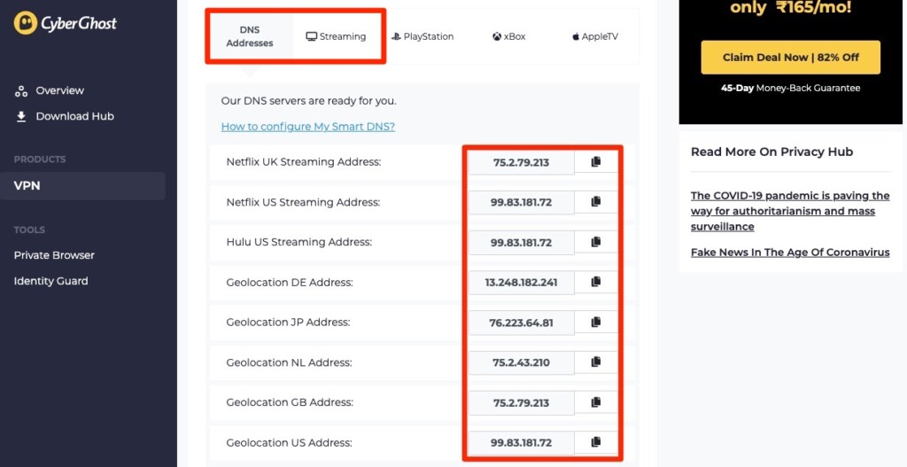 Navigating to custom DNS addresses on CyberGhost dashboard