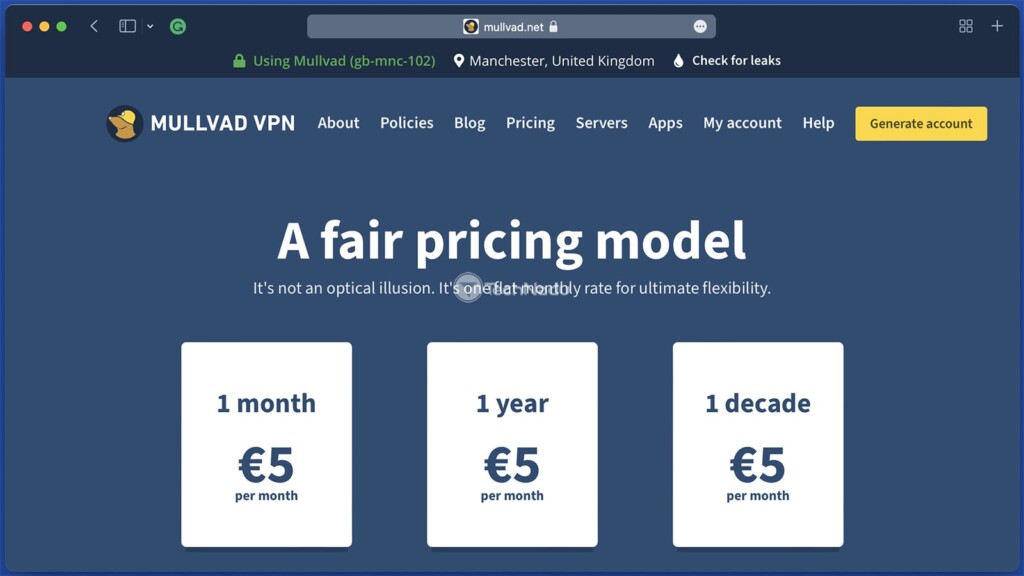 Mullvad VPN Pricing Plan as Shown on Its Website