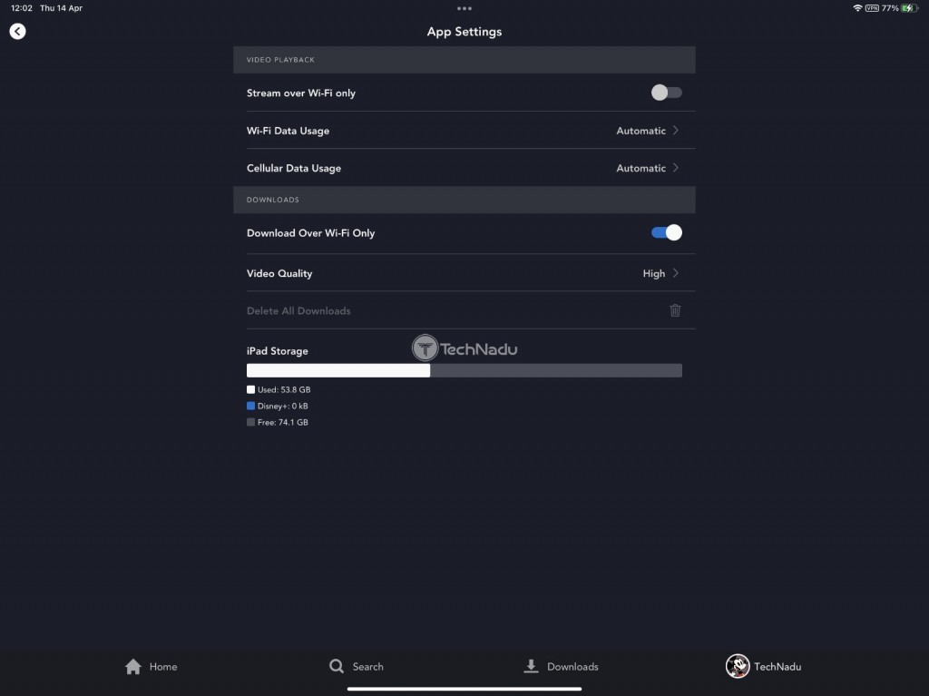 Disney Plus App Settings on iPad