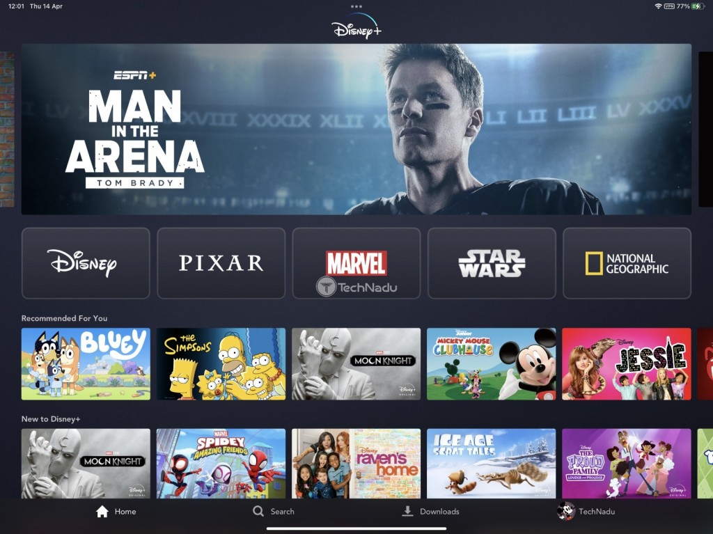 Disney Plus Interface on iPad