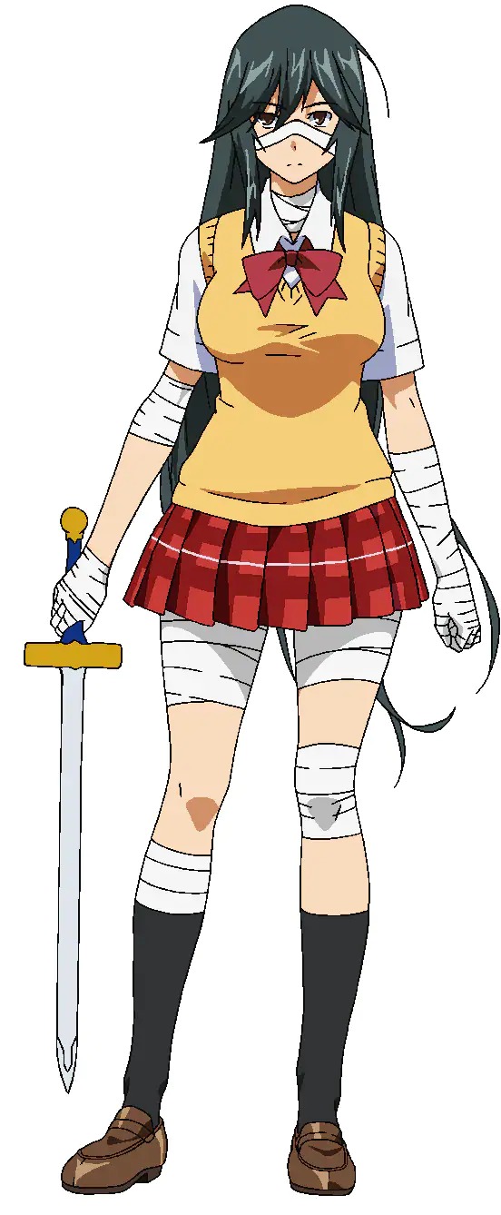 Shin Ikkitousen, Ikkitousen Wiki