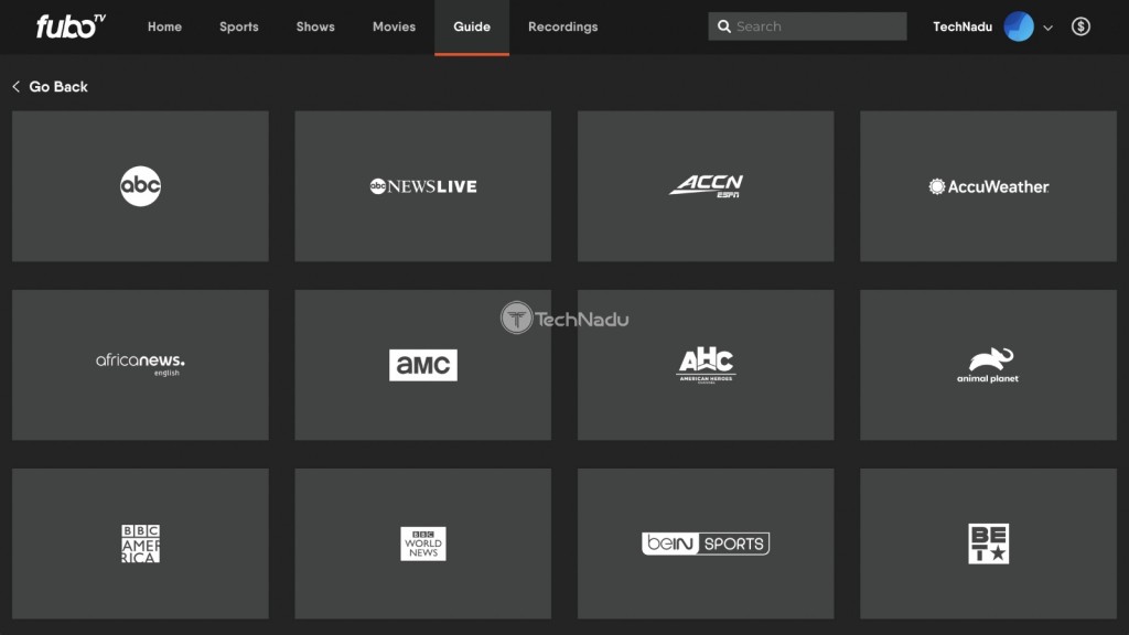 Viewing Available TV Channels on FuboTV Website