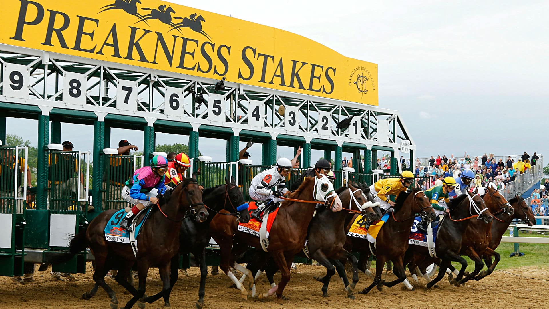 2024 Preakness Stakes Replay Nelly Yevette