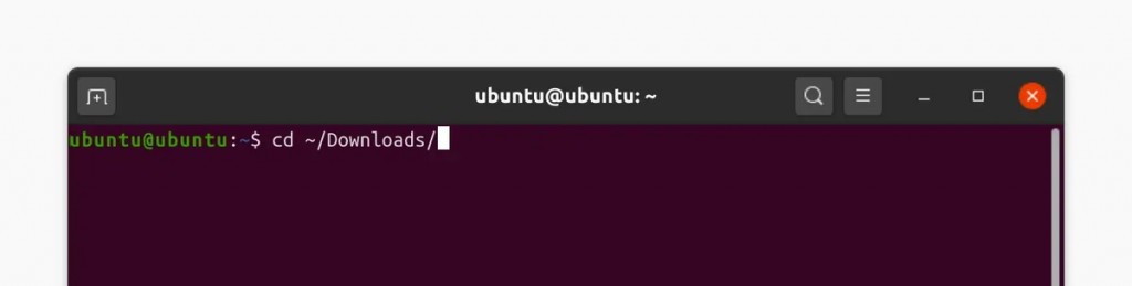 CD Downloads Command on Linux