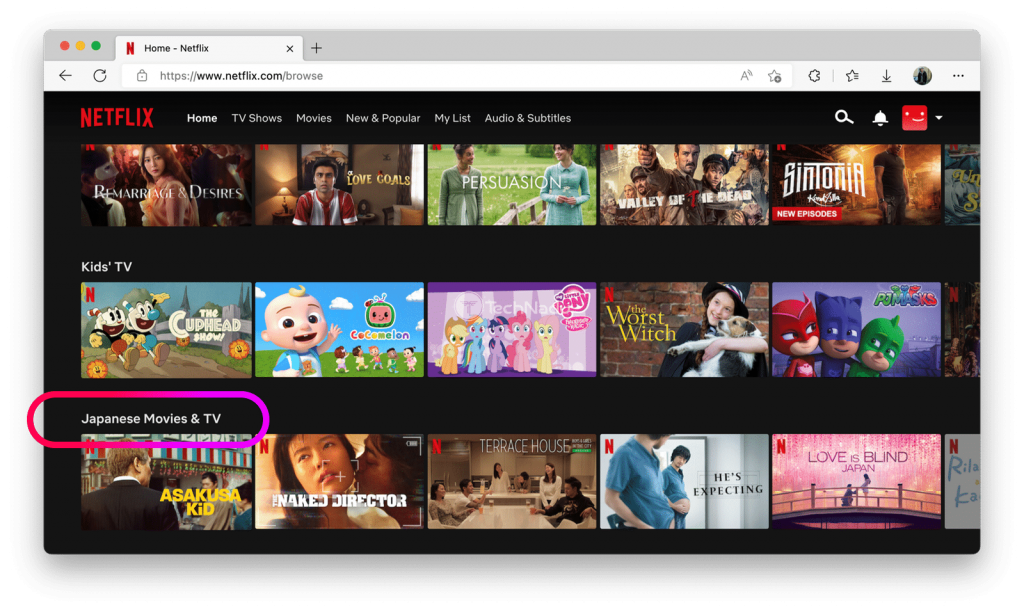 Unblocking Netflix Japan Using a VPN