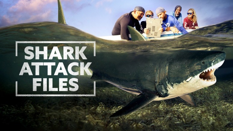 shark attack files season 2 disney plus national geographic