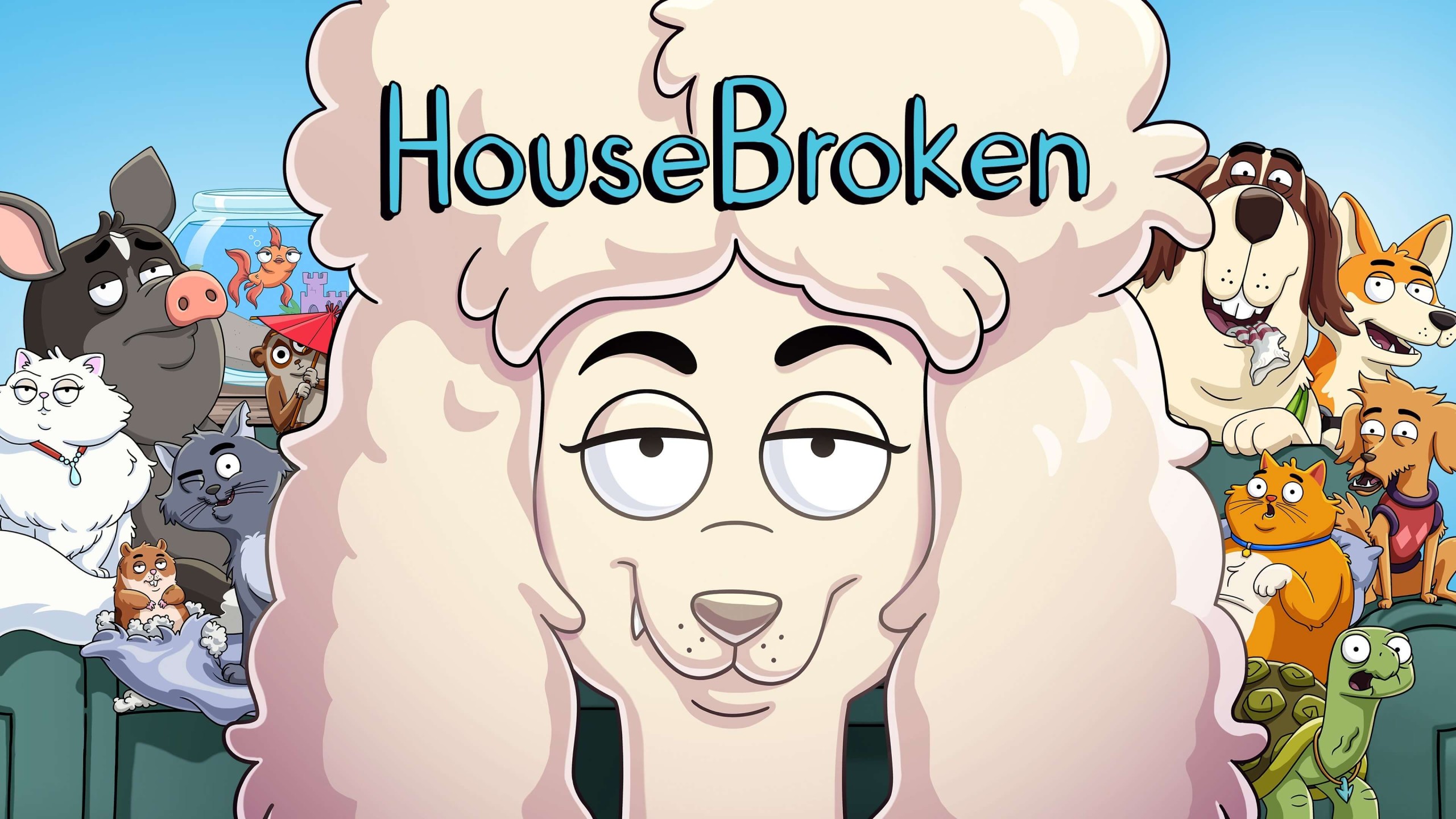 What Does Housebroken Mean For Cats