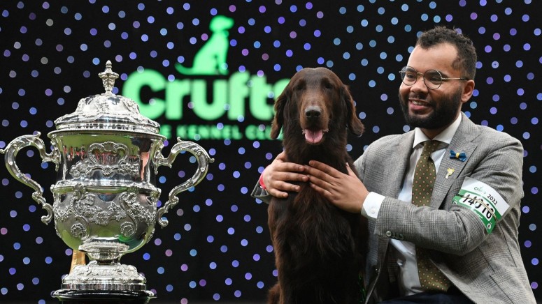 Crufts