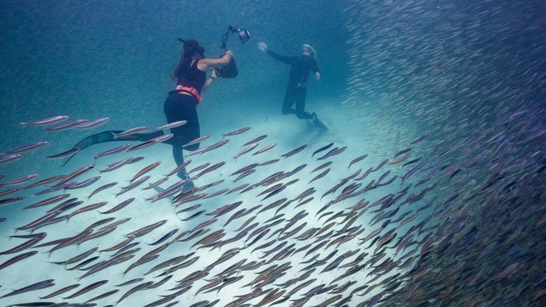 Ningaloo Nyinggulu