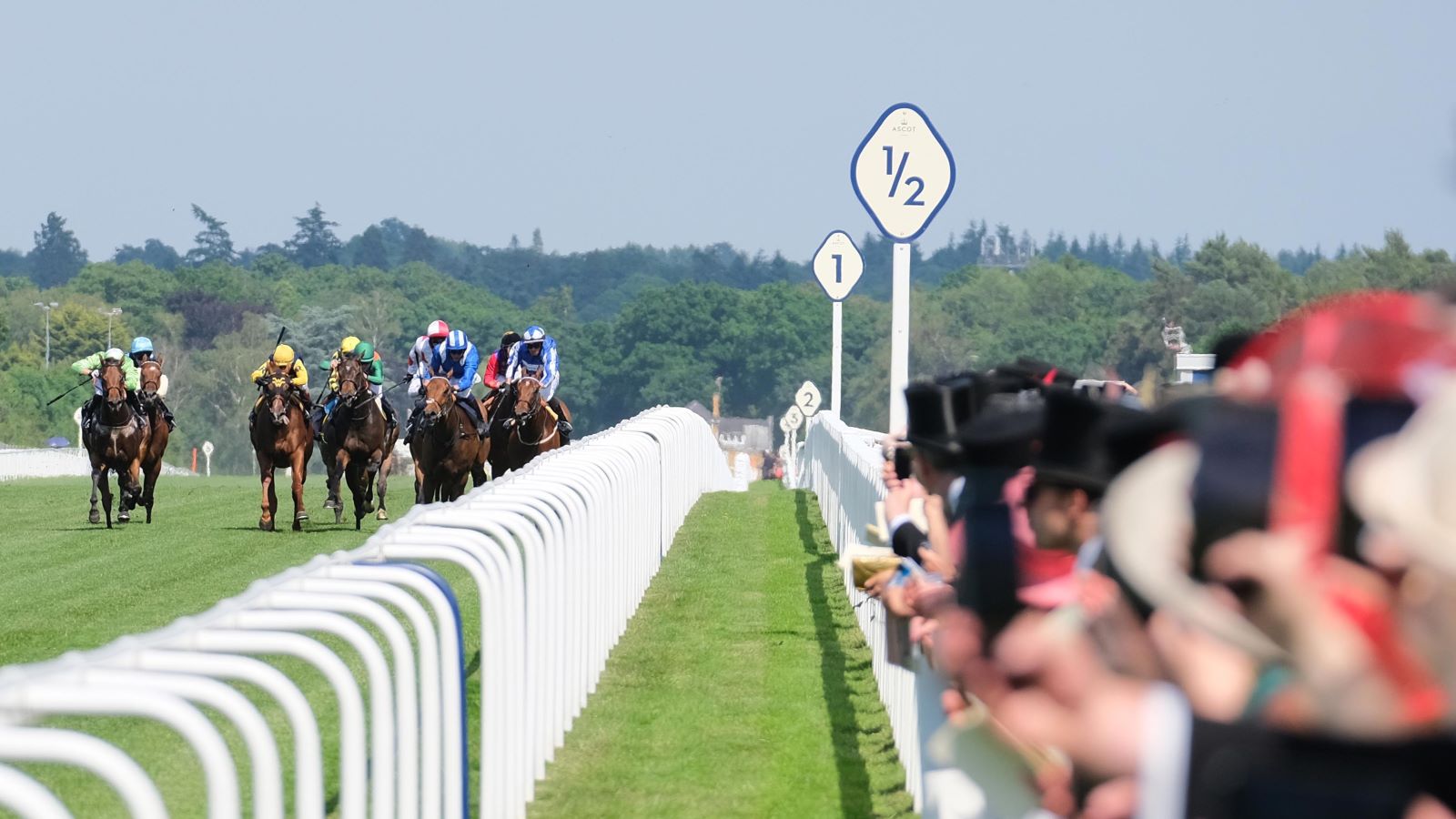 Royal Ascot