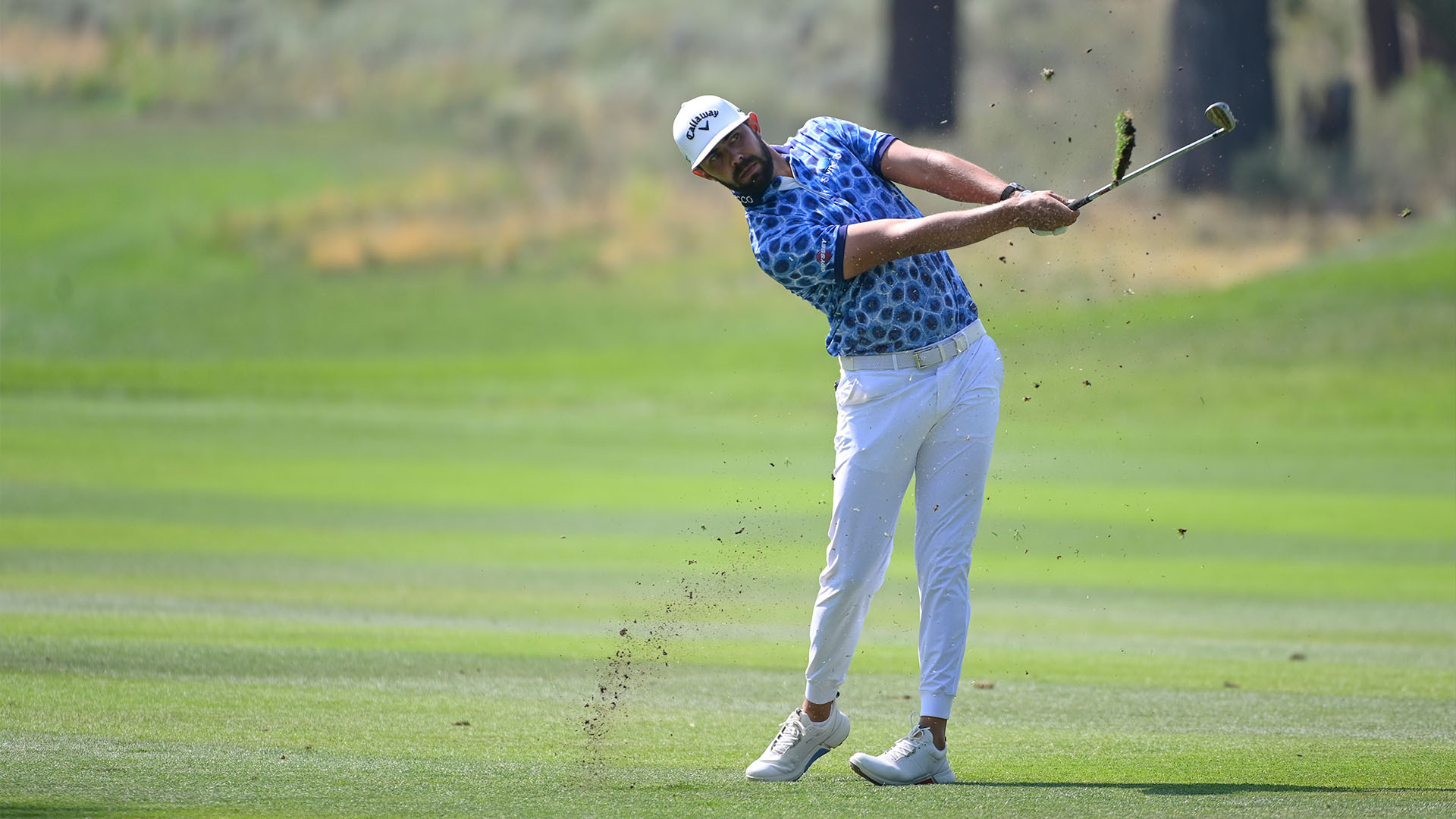 Barracuda Championship 2023 Live Stream How to Watch Golf Online from Anywhere