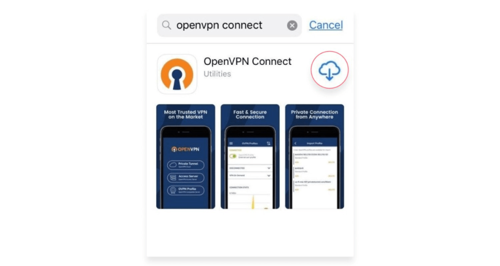 Downloading OpenVPN Connect on iPhone