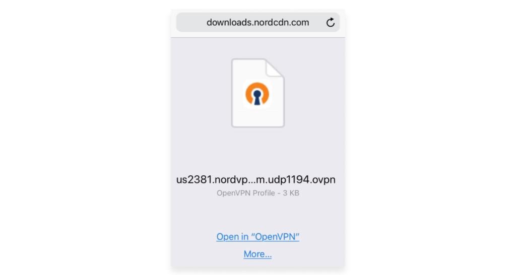 Importing OpenVPN File on iPhone