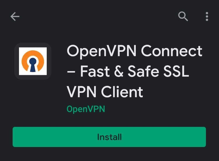 OpenVPN Connect Overview on Play Store