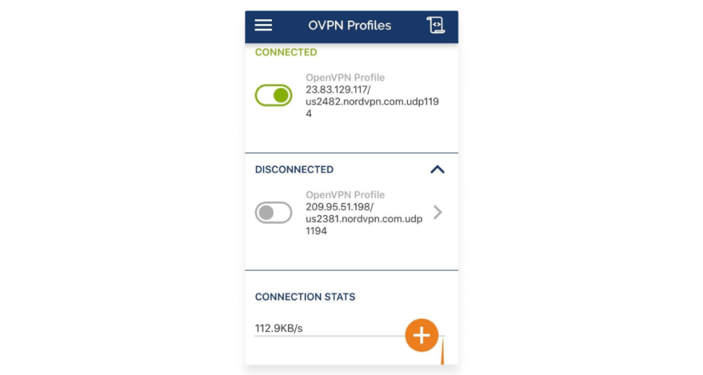 OpenVPN Connected on iPhone