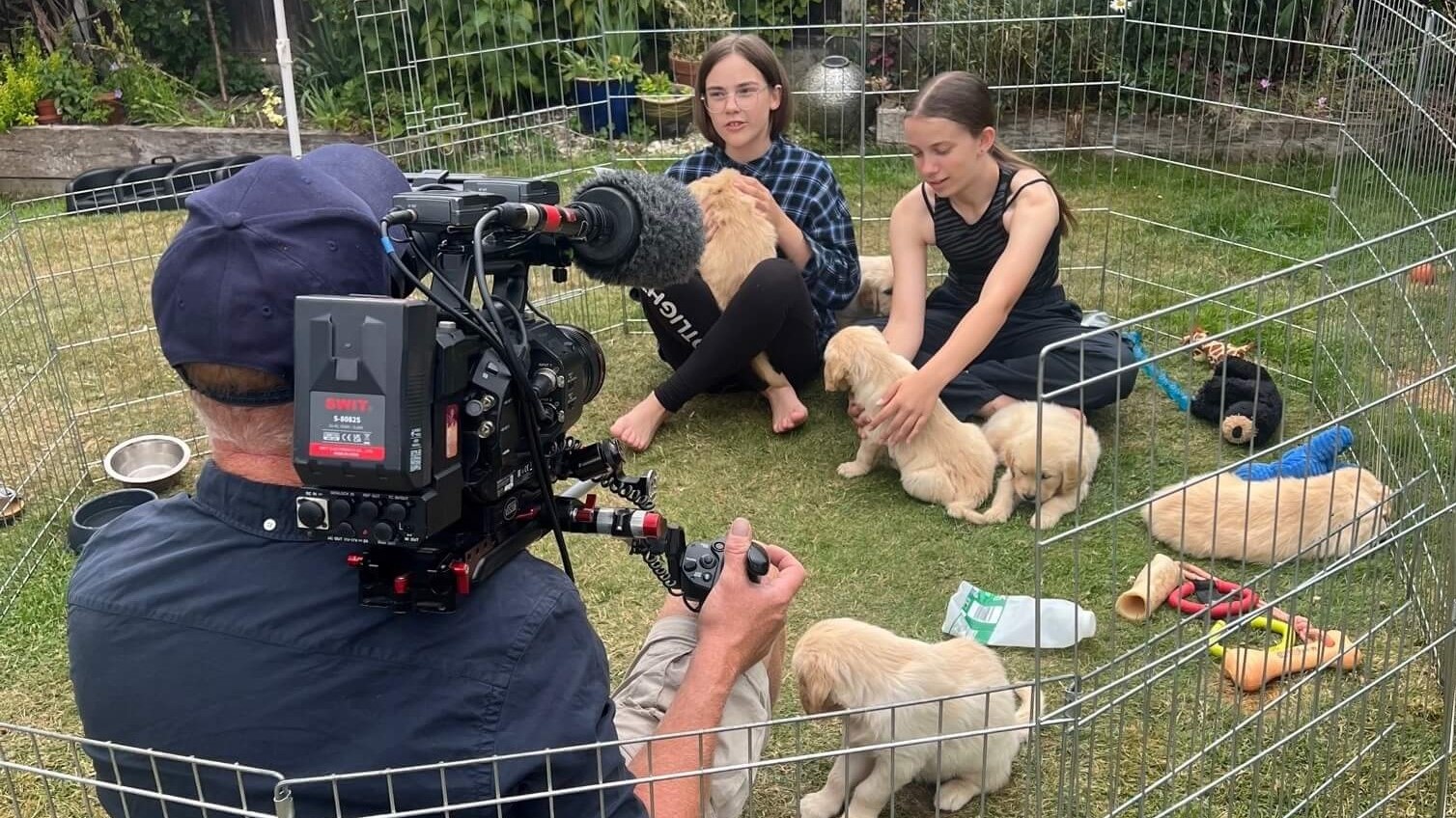 Guide Dog Puppy School