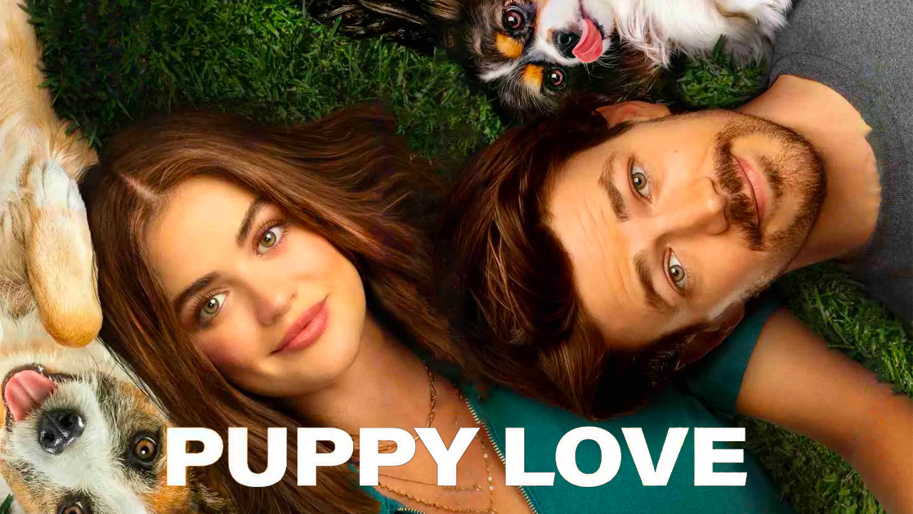 How to Watch Puppy Love Online Free Stream Freevee Original Movie from