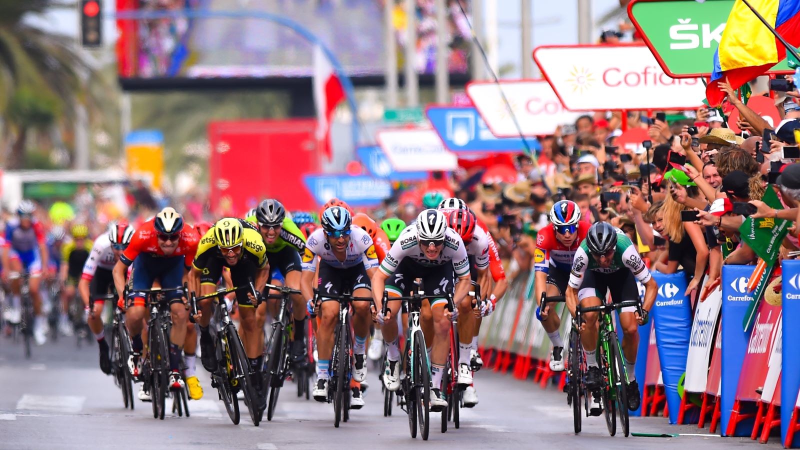How to Watch Vuelta a España 2023 Online Free Live Stream UCI World Tour Cycling from Anywhere