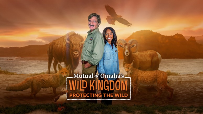Wild Kingdom Protecting the Wild