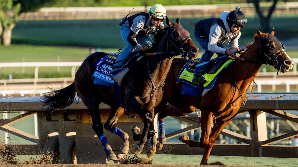 Breeders' Cup 2023 Live Stream How to Watch Horse Racing Online from