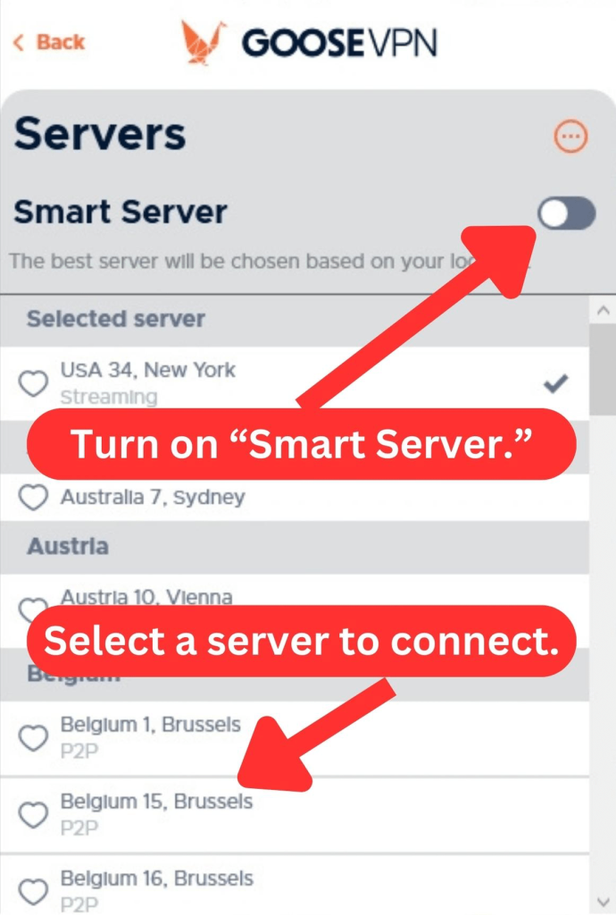 GOOSE VPN app showing the Smart Server feature