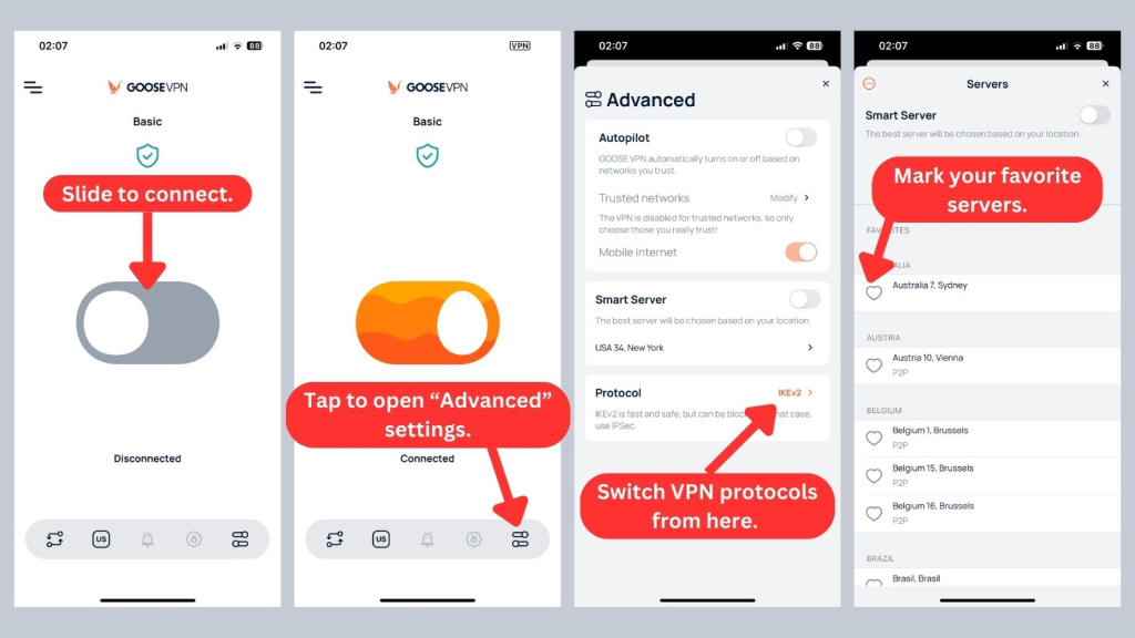 GOOSE VPN iOS app showing advanced settings
