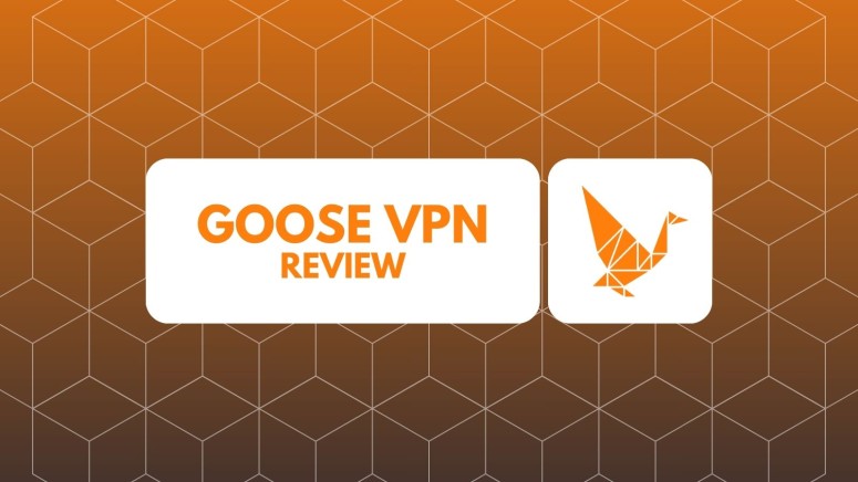 Goose VPN Review