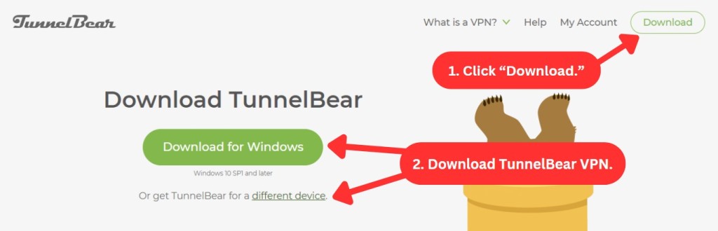 How to download TunnelBear