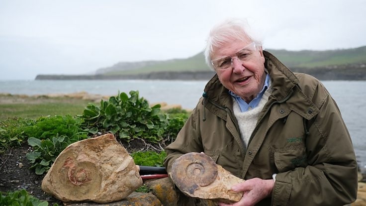 Attenborough and the Giant Sea Monster