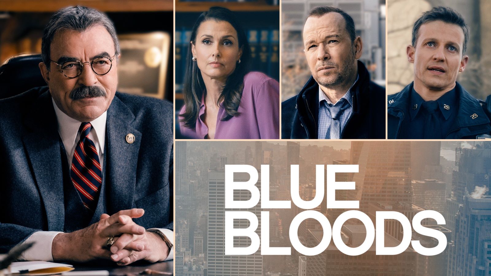 Blue Bloods Season 14