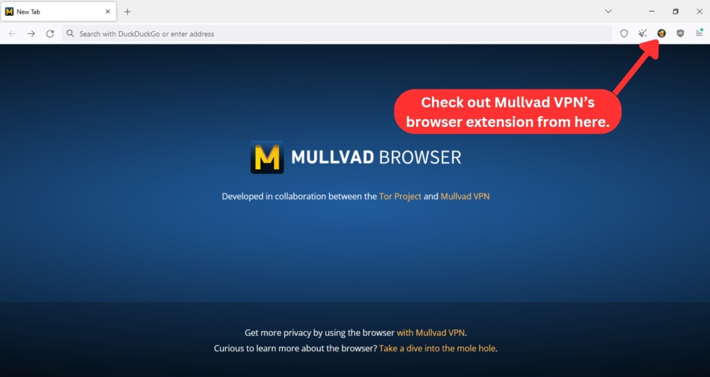 Mullvad Browser with built-in browser extension