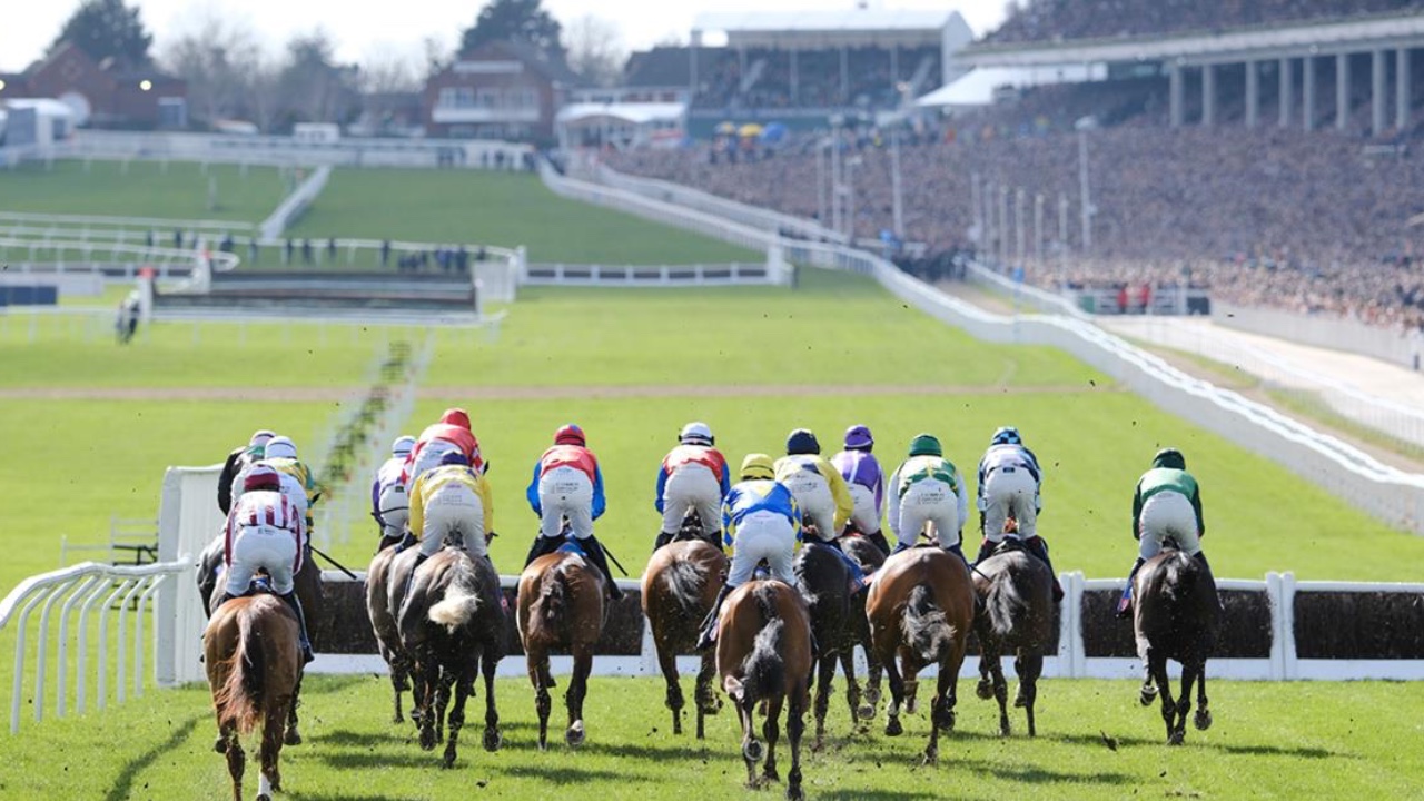 How to Watch Cheltenham Festival 2024 Online Free Live Stream Horse