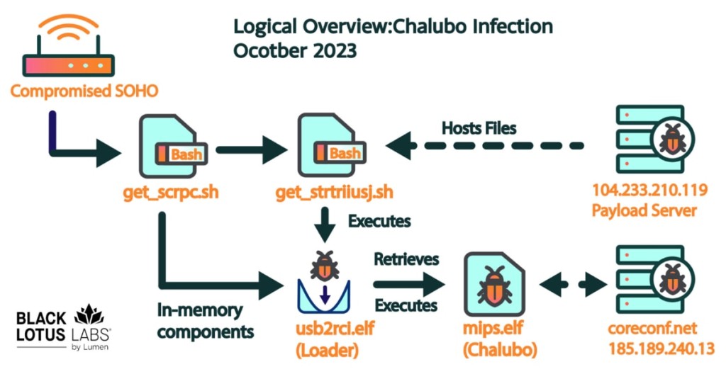 Chalubo Infection Diagram