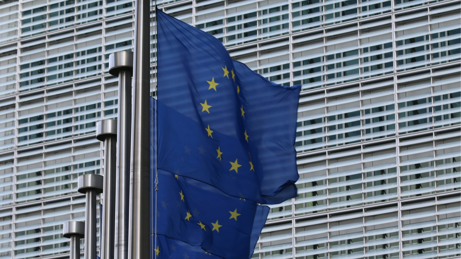 EU Flags on Poles