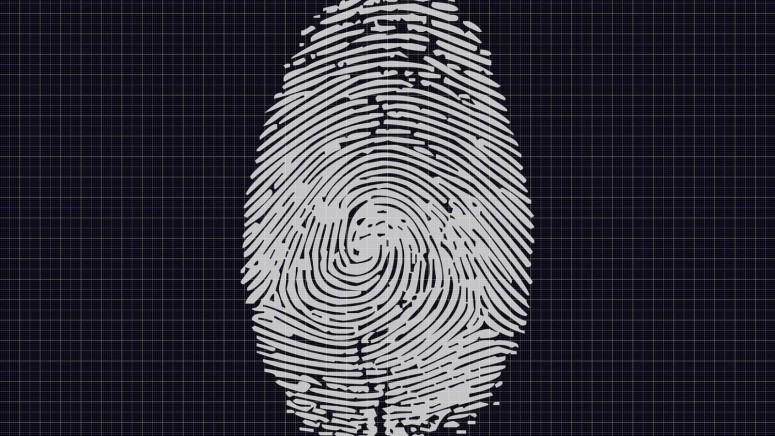 Fingerprint