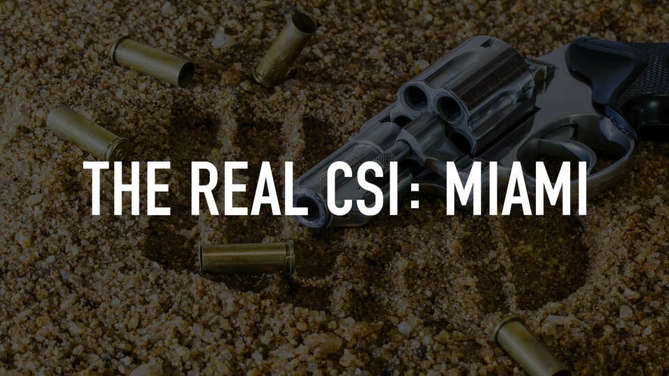 The Real CSI Miami