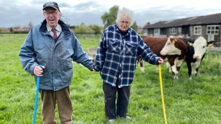 The Yorkshire Vet At Home With The Greens