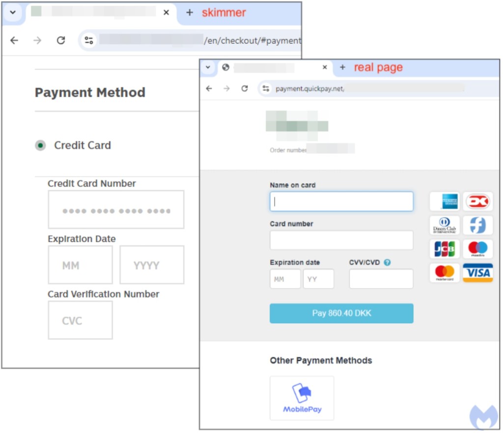 Malicious Card Skimmer Page