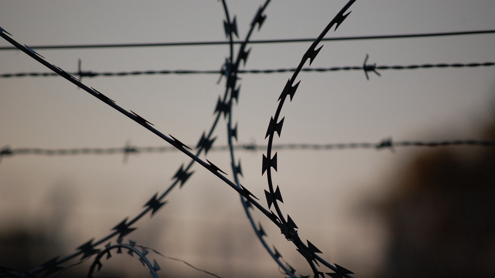 Barbed Wire Fence