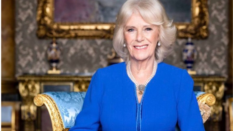 Queen Camilla The Wicked Stepmother