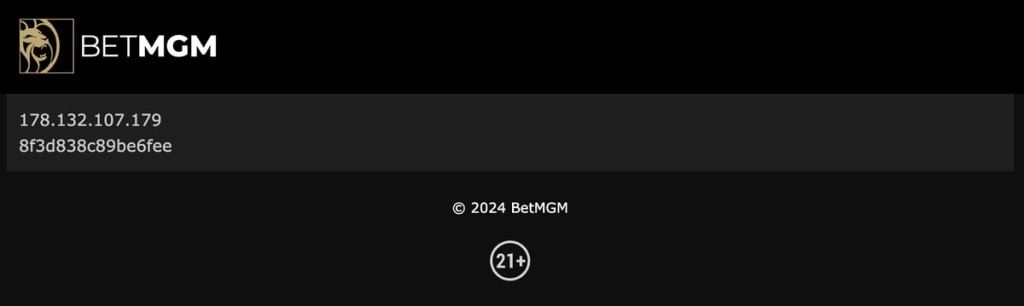 BetMGM Generic Geo Block Error