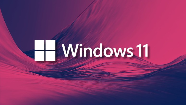 Windows 11