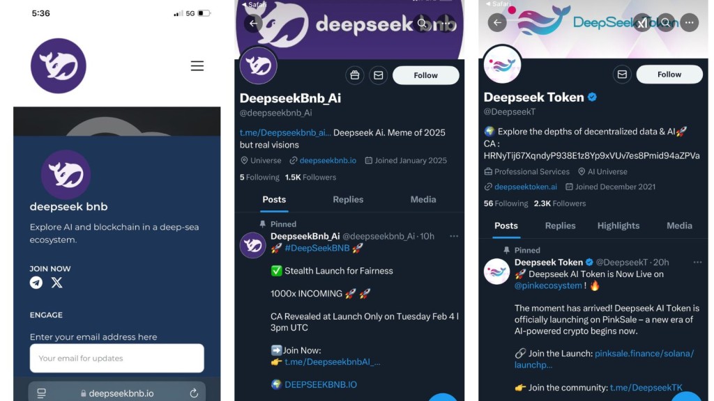 Screenshot showing images of fraudulent DeepSeek Token Fraud.