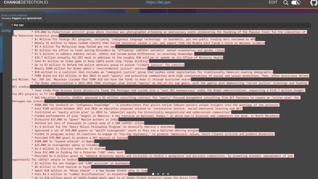 Redacted Screenshot of the DEI.gov Data.