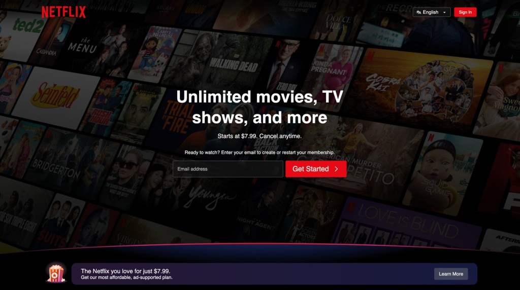 Netflix Landing Page