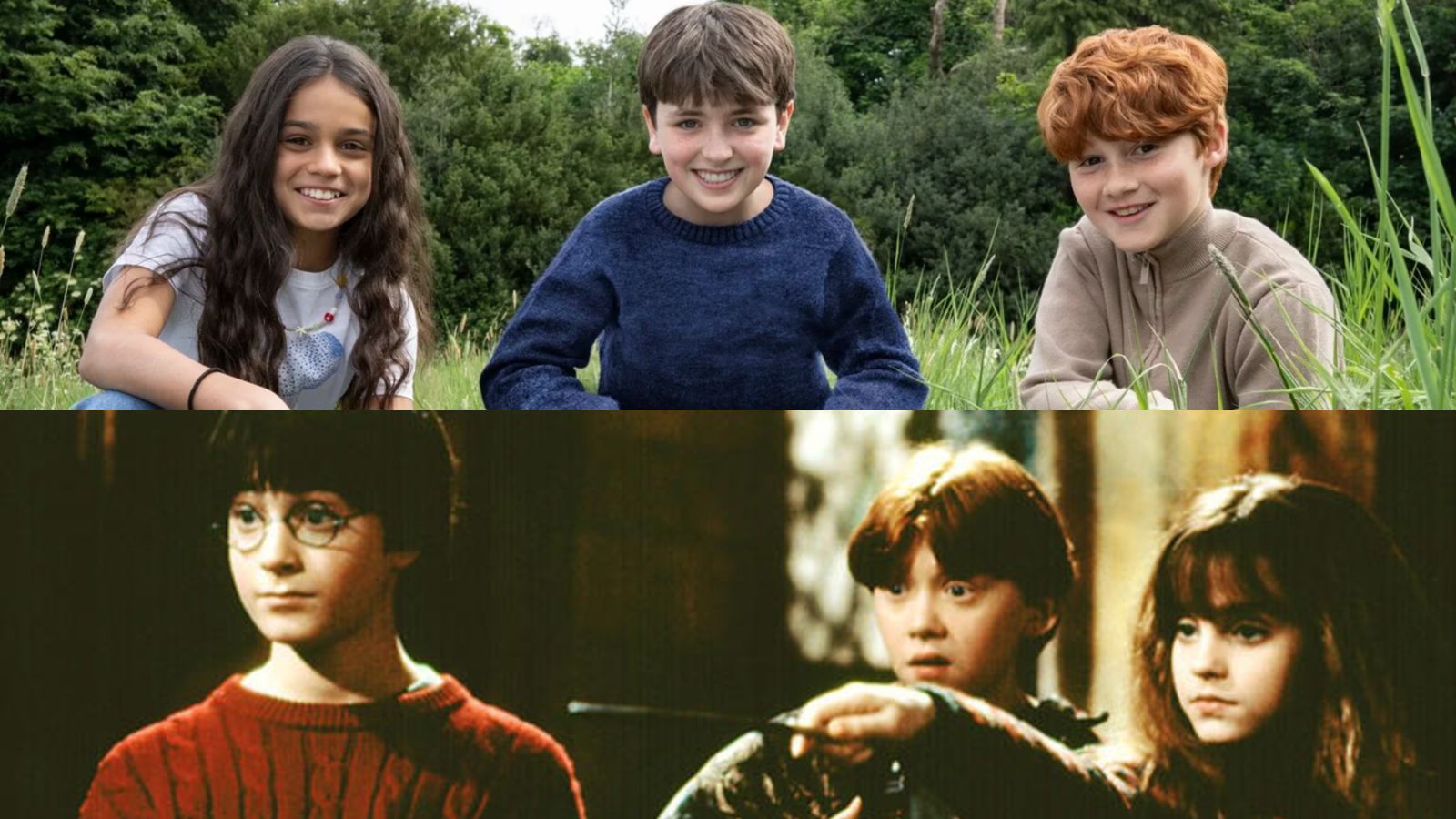 Harry Potter Cast
